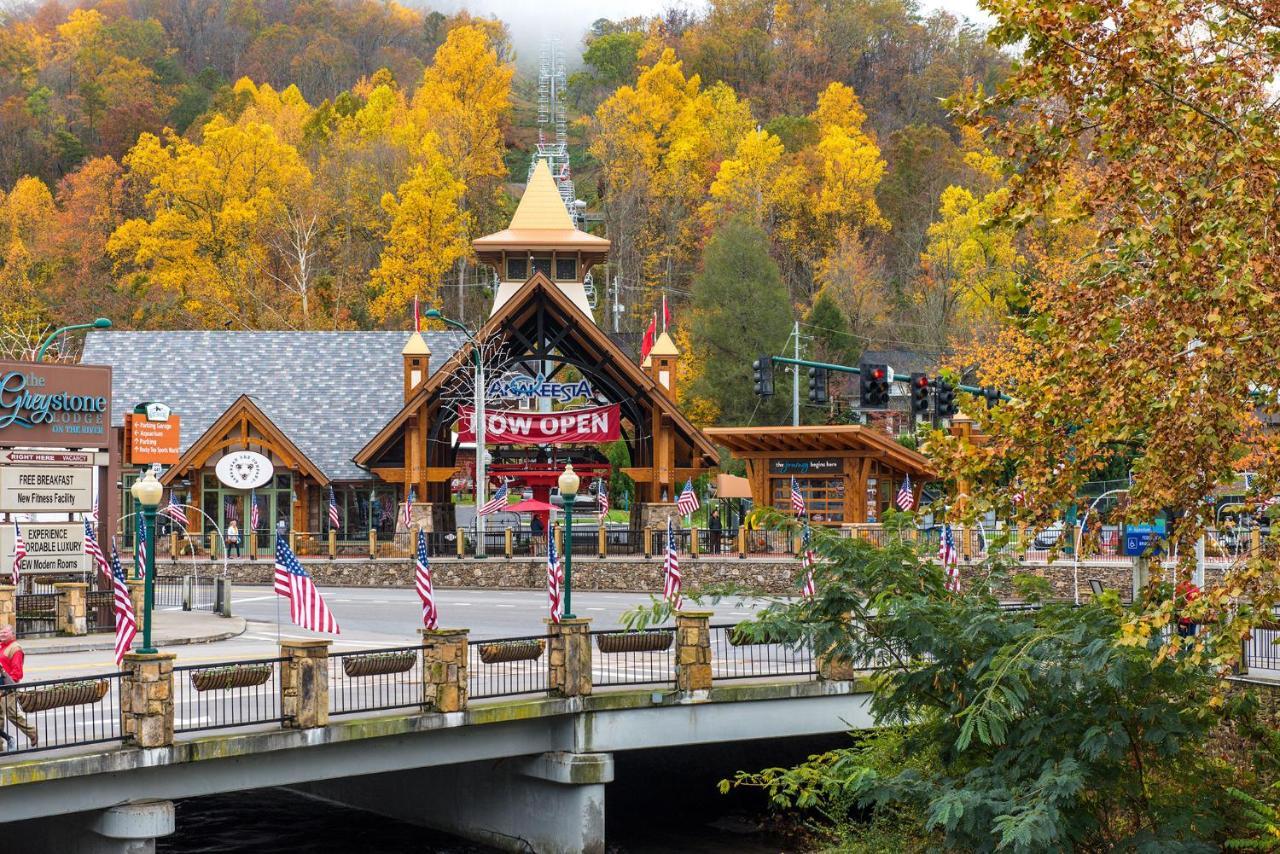 Bear View Chalet, 3 Bedroom, Pool, Pets, Arcades, Wifi, Hot Tub, Sleeps 12 Gatlinburg Exterior photo